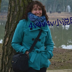 4v4v4v小說網 小說
