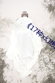 《17种x幻想漫画