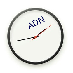 ADN