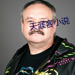 天涯客小(xiǎo)说
