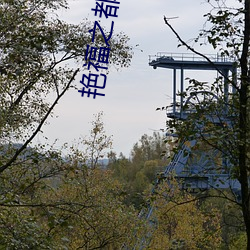 艳福之都市后宫