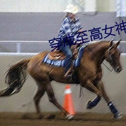 穿成至高女神像 （雷厉风行）