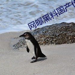 網曝黑料國産傳媒