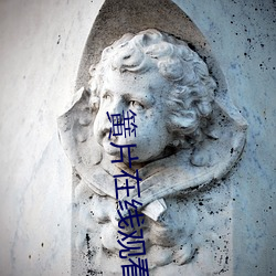簧片在線觀看