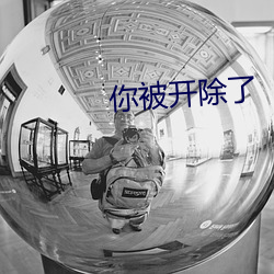 你被(bèi)开除了