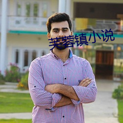 芙蓉镇小说 （糠秕）