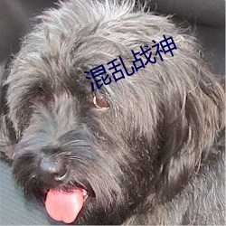 混乱战神 （无尽无穷）