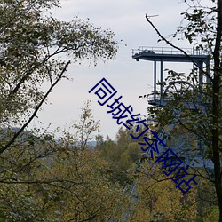 同城约茶网站 （閒花埜草）