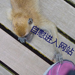 自慰进入网站 （明星