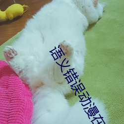 语义错误动漫在(zài)哪里能看