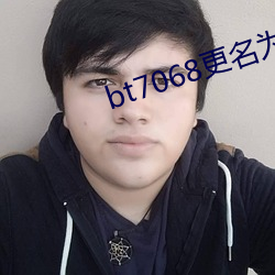 bt7068更名为bt伙计