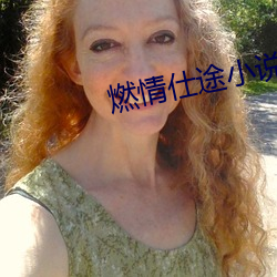 燃情仕(仕)途小说
