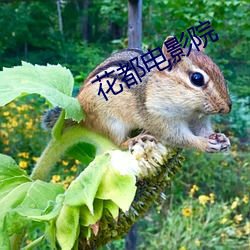 花都电影院