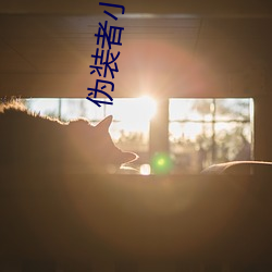 伪装者小(小)说