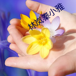 林岚秦(秦)小(小)雅