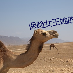 保险女王她的商业的(de)秘密