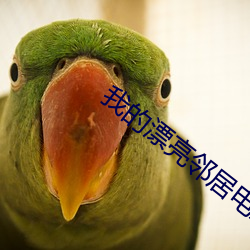 AG真人平台(中国)官方网站