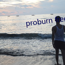 proburn free