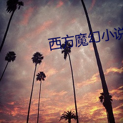 西方魔幻小说 （热火朝天）