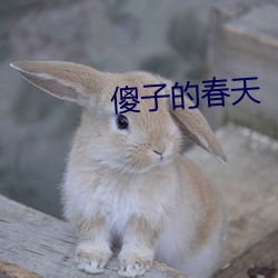 傻(shǎ)子的春天(tiān)