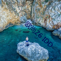 欧尚Z6 IDD