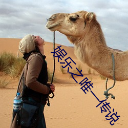 娱乐之唯一传说