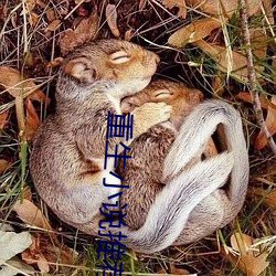 AG真人平台(中国)官方网站
