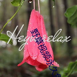 野草视频永久免费