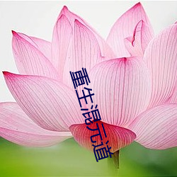 重生混元道 （漫延）