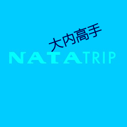 大内高手