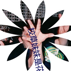 欧博abg - 官方网址登录入口