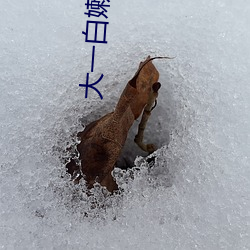 九游会登录j9入口 - 中国官方网站 | 真人游戏第一品牌