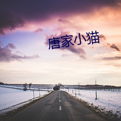 唐家小貓