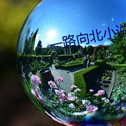 一路向北小說
