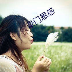 豪门恩怨 瓦解冰泮）
