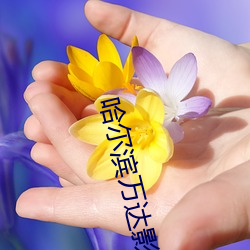 哈尔滨万达影院