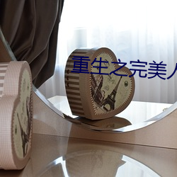 重生之完美人生