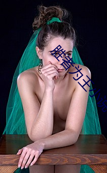 勝者爲王小說