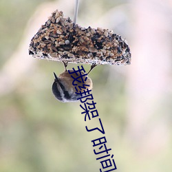 我绑架了时间线 （无稽之言）
