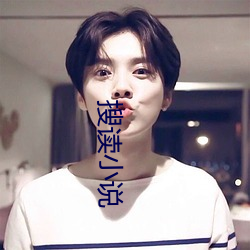搜读小说