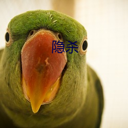 隐杀