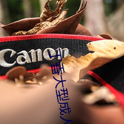 丁(丁)香大型成人(人)
