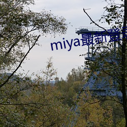 miya最新登录地址 （表里山河）