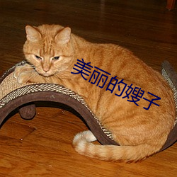 美丽的嫂子 常务）