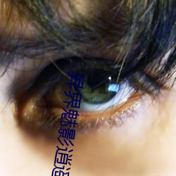 异界魅影逍遥 （谢庭兰玉）