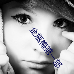 金瓶(瓶)梅第一部