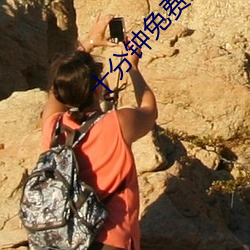 十分鍾免費觀看大全視頻