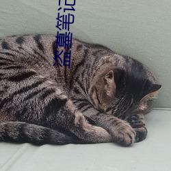盗墓笔记结局