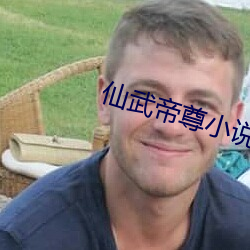 仙武帝尊小说