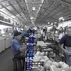 不需要注冊的真人秀直播軟件